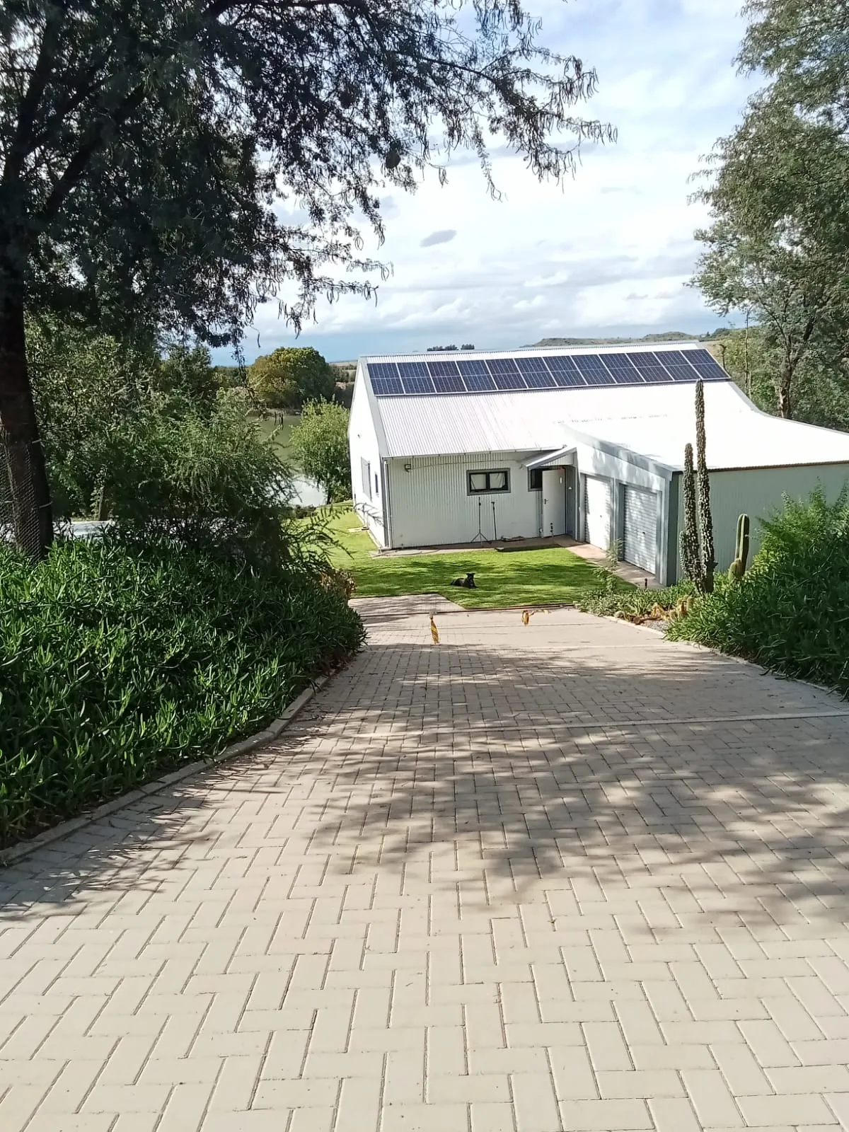 Pragtige Riviererf met Uitsonderlike Selfversorgende Leefstyl in die Hart van die Karoo - Beeld 4